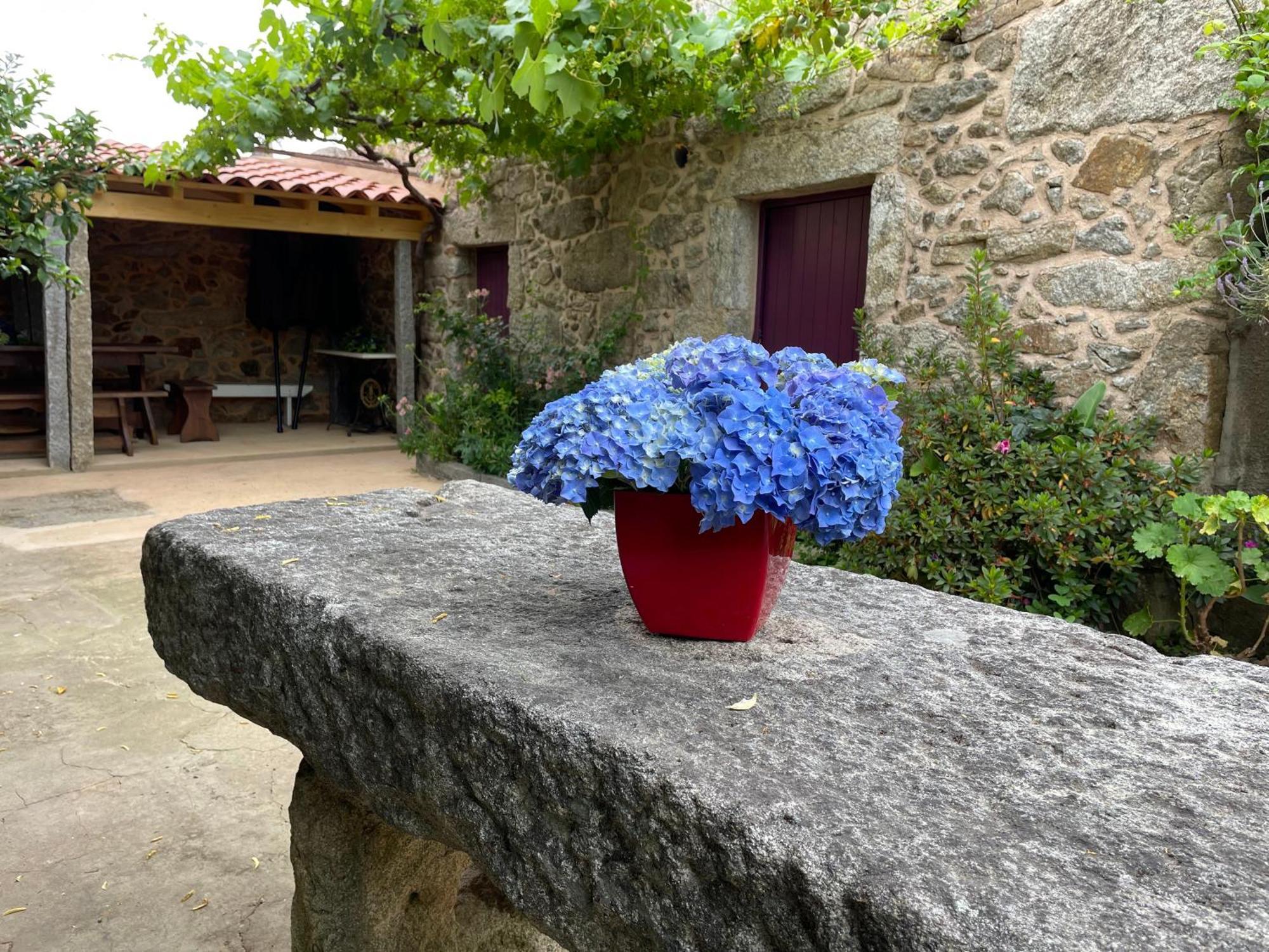 Casa Velha-Santiagofamilyhouse Villa Sever do Vouga Eksteriør billede